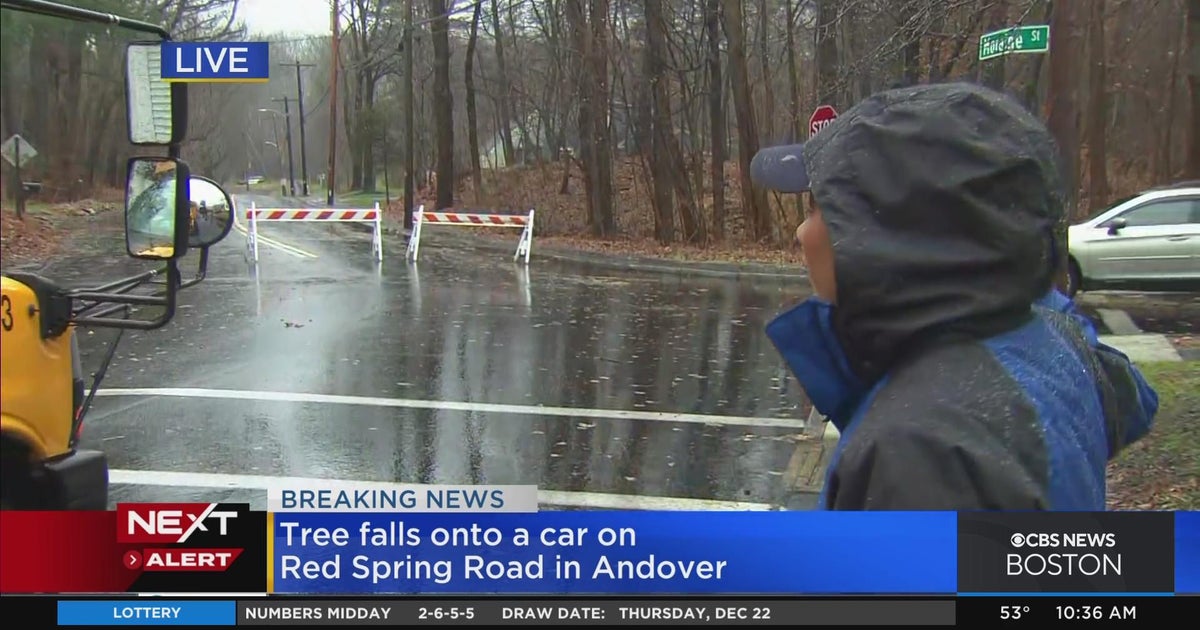 Tree falls on car in Andover during Friday's storm - CBS Boston