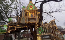 Christmas trees: How about a Christmas tree house? 