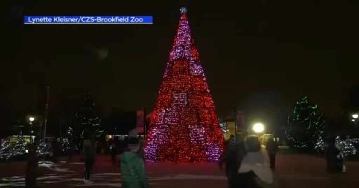 Brookfield Zoo's Holiday Magic lights CBS Chicago