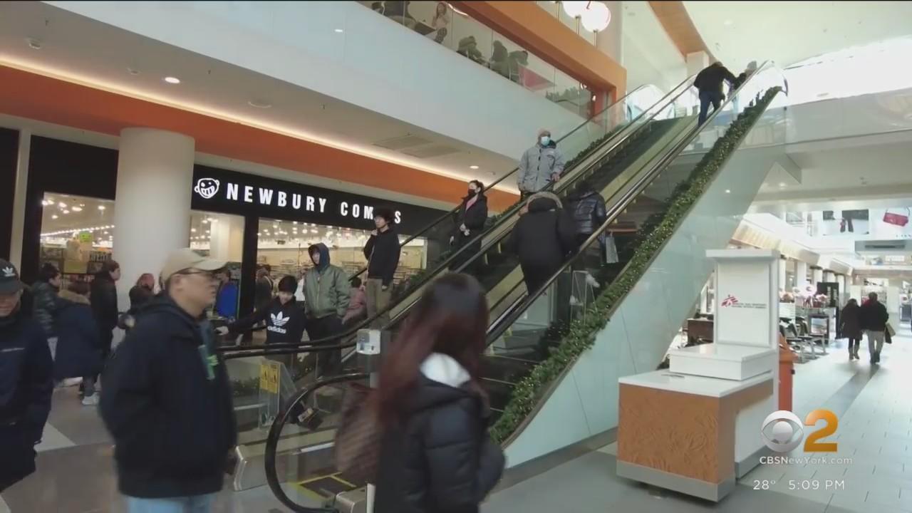 Under Simon, Roosevelt Field Can Survive Mall Closures: Experts