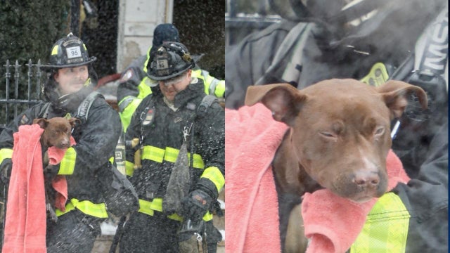 Chicago Fire Department dog rescue 