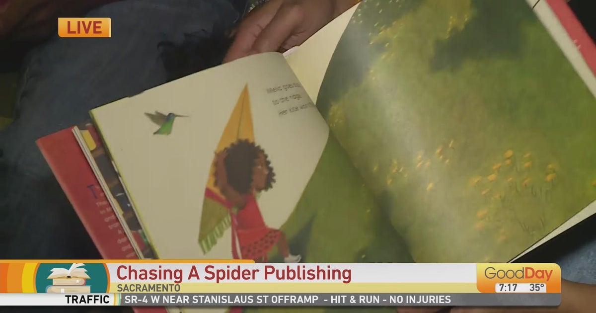 Chasing a Spider Publishing - Good Day Sacramento