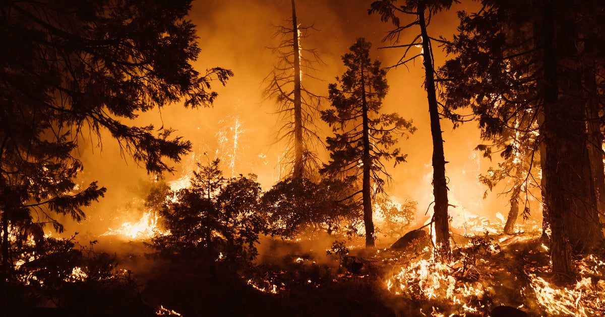 California lawmakers call on insurance commissioner to set fire insurance market straight