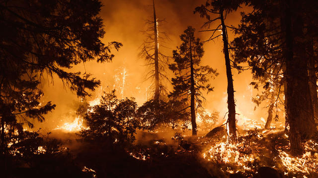 The Mosquito Fire Burns In The Sierra Nevada Mountains Forcing Thousands To Evacuate 
