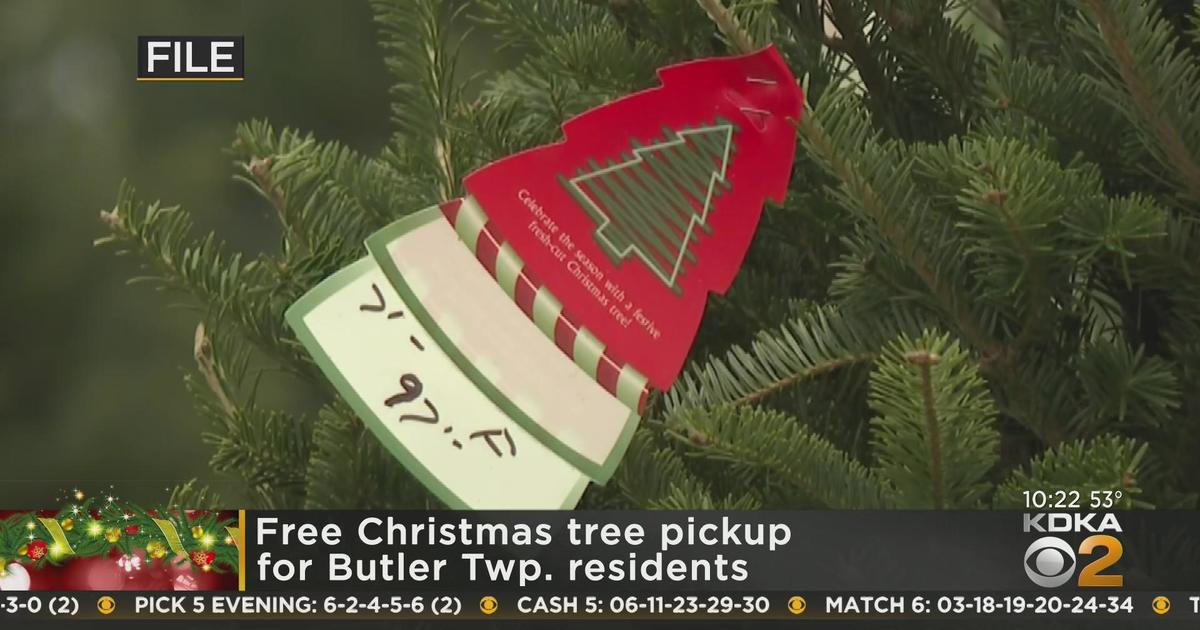 Free Christmas tree pickup for Butler Township residents CBS Pittsburgh