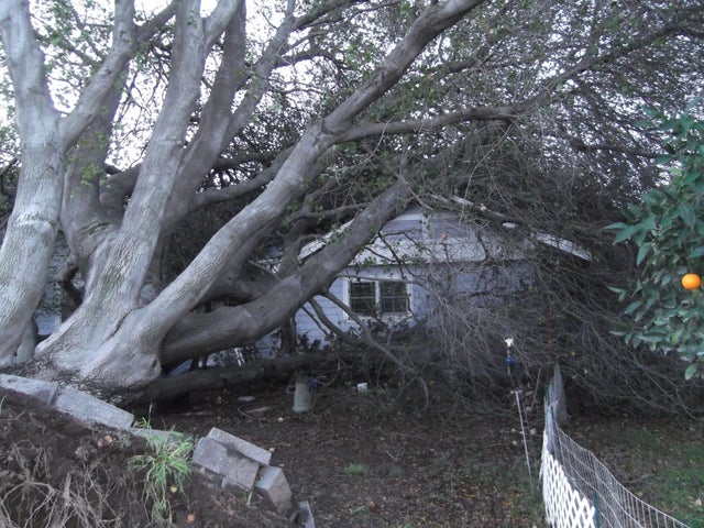 5-tree-down-on-hosue-scott-baker.jpg 