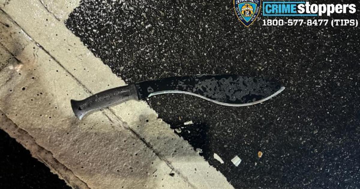 Man charged with attempted murder after New Year’s Eve machete attack on NYPD officers
