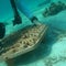3D printed “tiles” help revive coral around the world