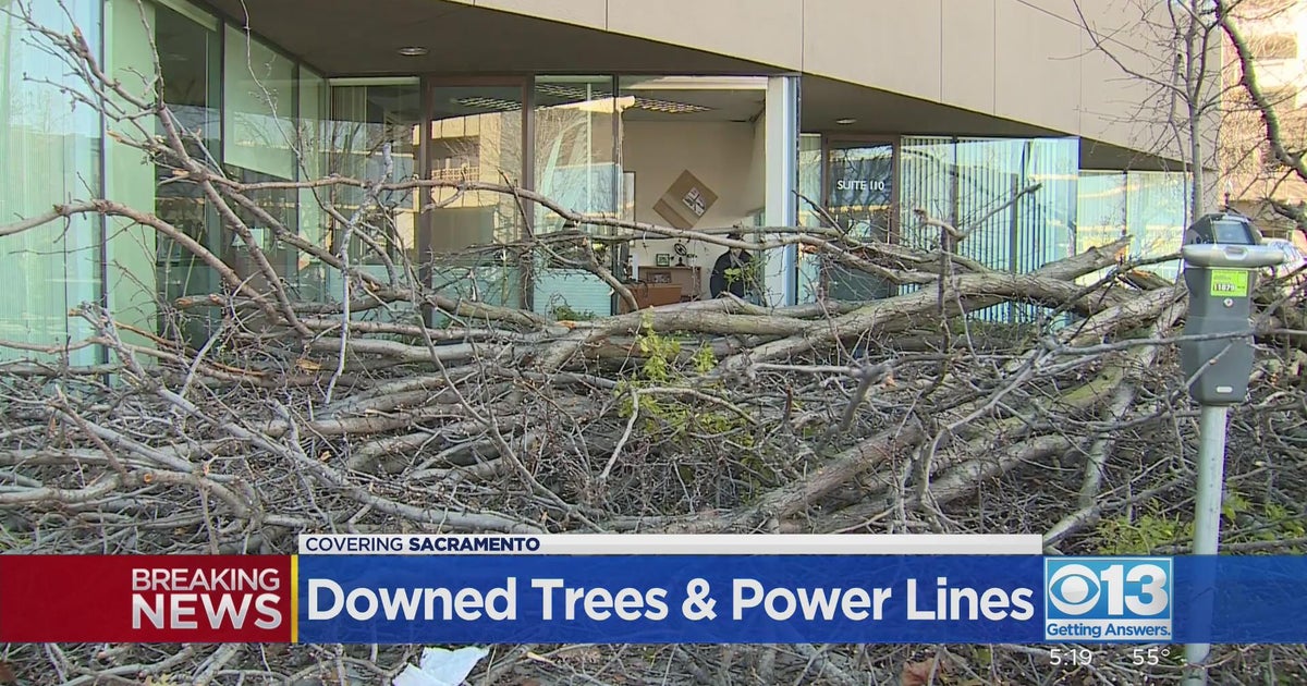 Northern California Storm Update: Downed trees and power lines continues to impact traffic