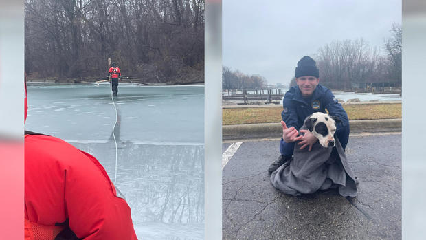 cg-rescues-dog-in-detroit-river.jpg 