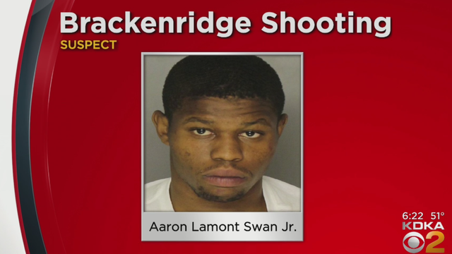 aaron-lamont-swan-jr.png 