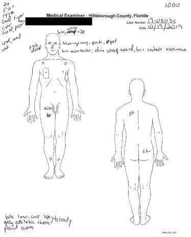 Matthew Trussler autopsy sketch