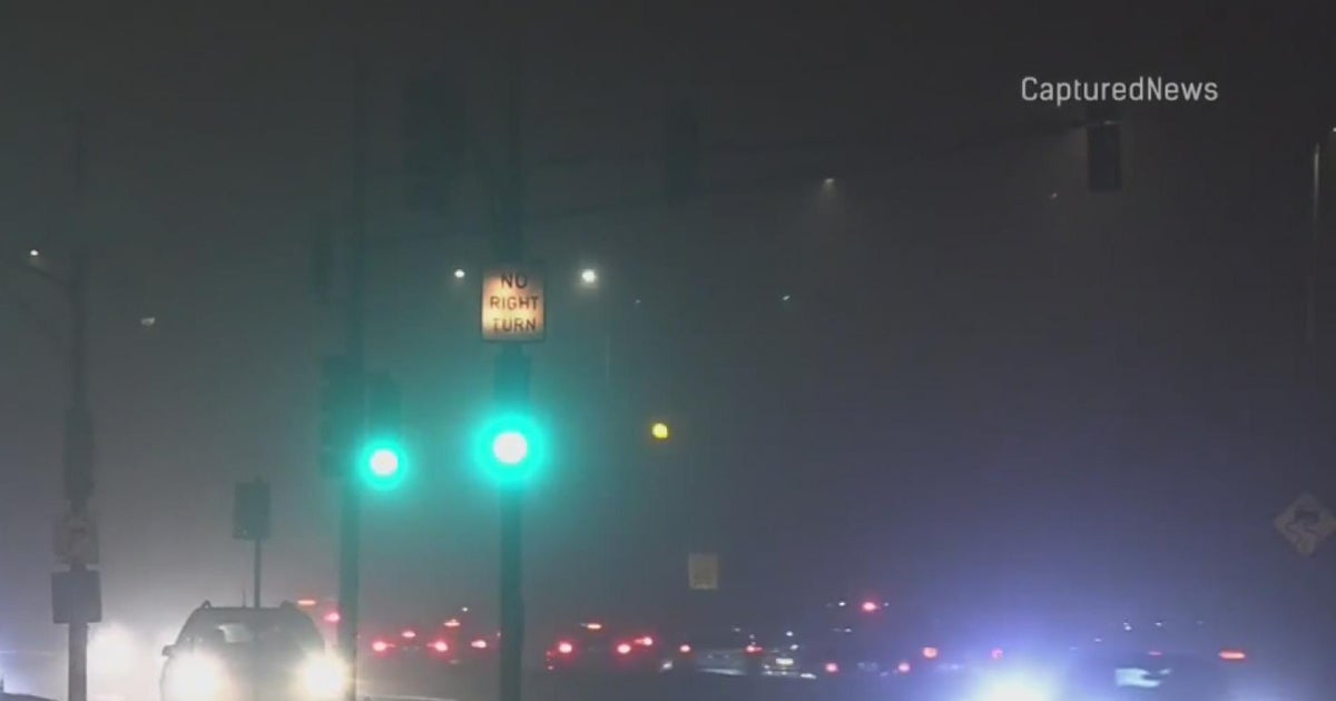CTA buses rerouted from DuSable Lake Shore Drive due to fog - CBS Chicago
