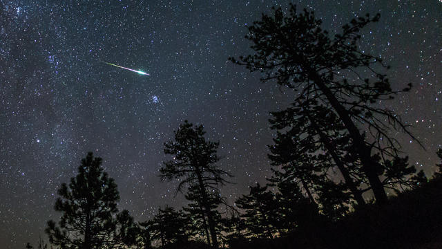 2016 Perseid Meteor Fireball Streaks Above Pine Trees 