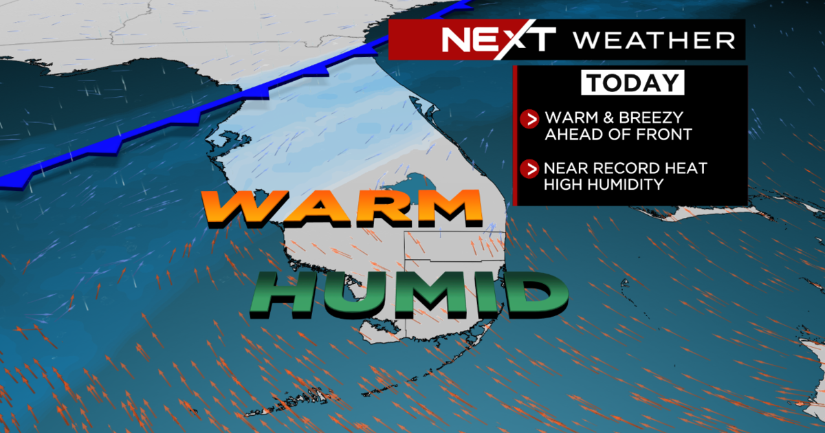 Miami Weather: Warm, humid, and breezy