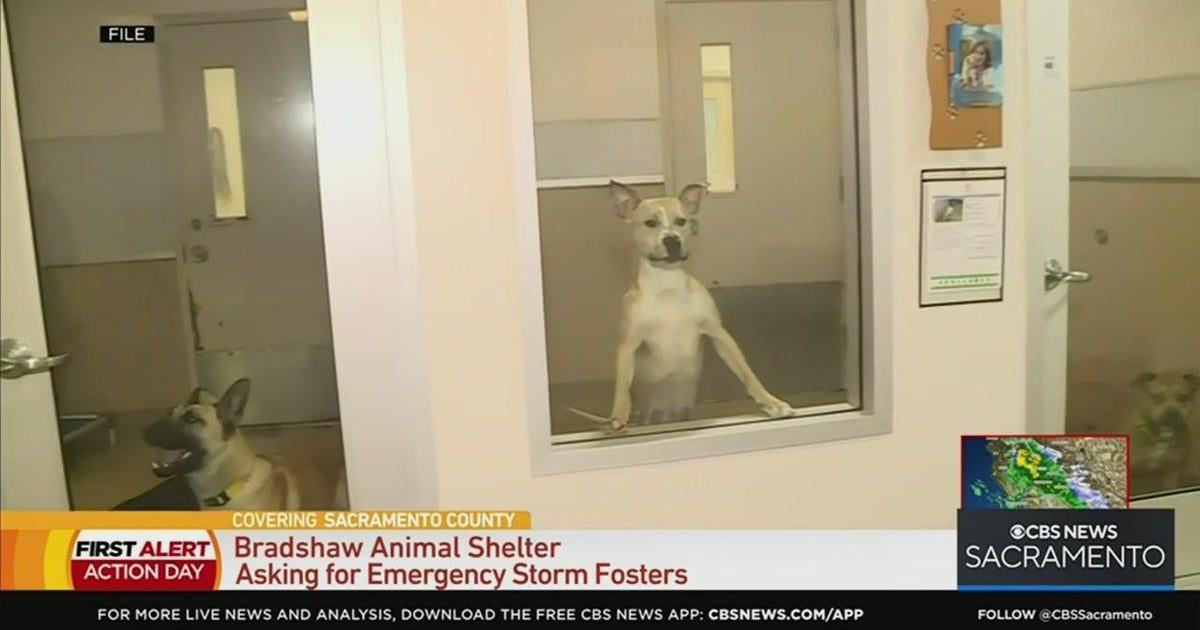 Animal shelters already overwhelmed ahead of storm