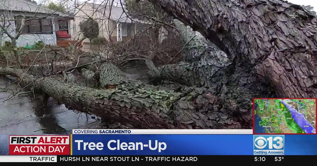 Sacramento crews work to clean up fallen trees around the city CBS
