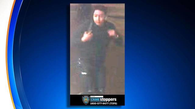 gowanus-brooklyn-sex-assault-suspect-1.jpg 