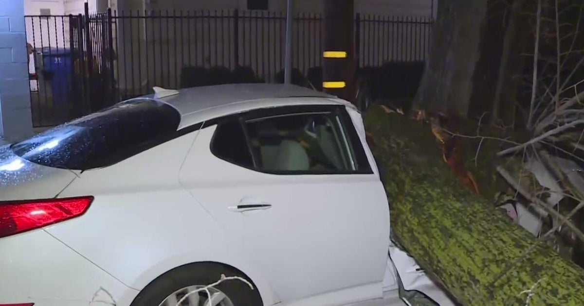 IN PHOTOS: Severe wind wreaks havoc across Sacramento area