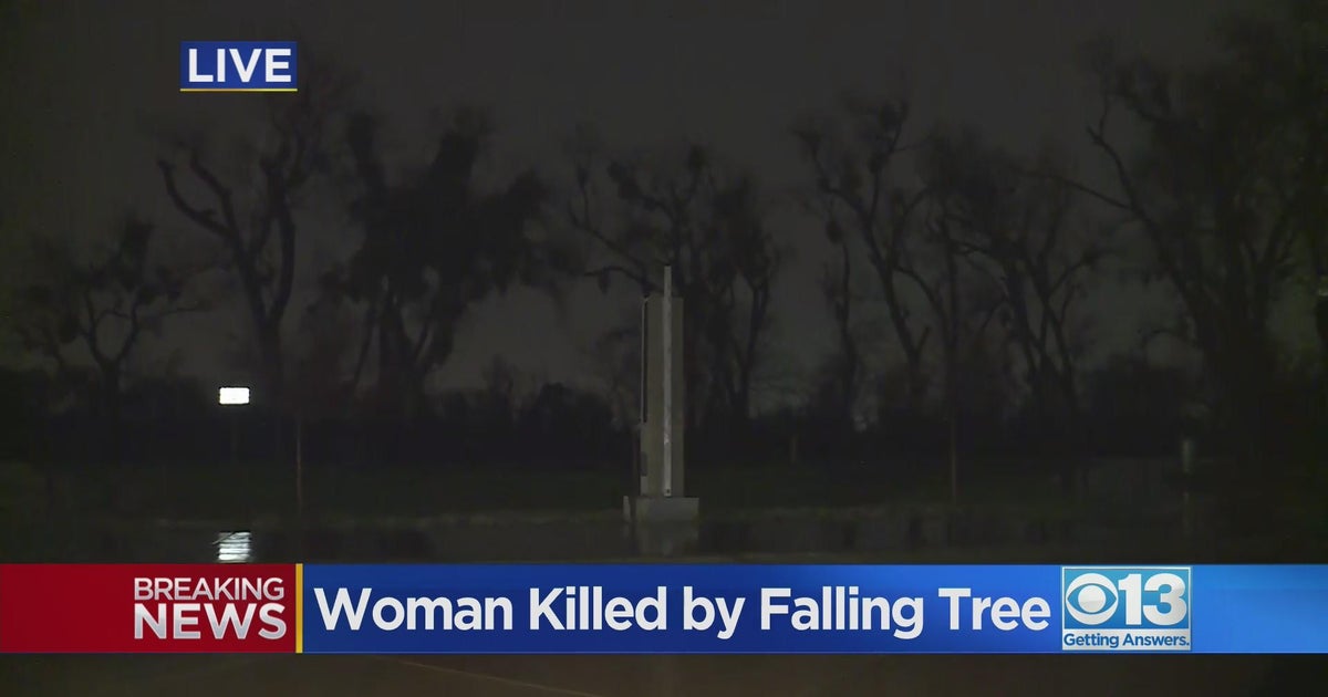 Homeless woman dead after tree falls on her