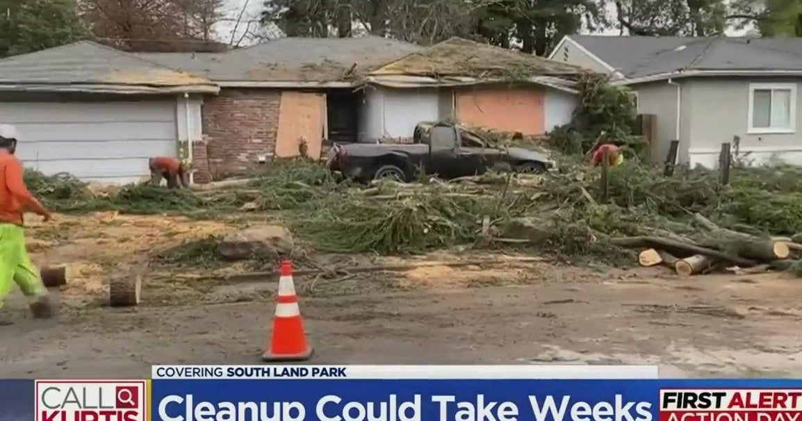 Aborists say to protecting your trees could save lives