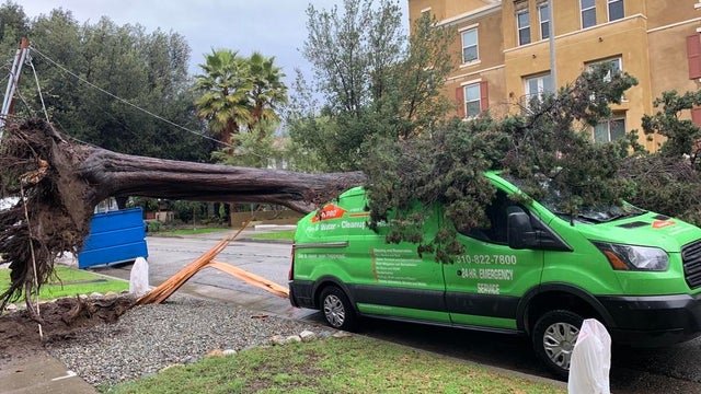 pasadena-downed-tree.jpg 