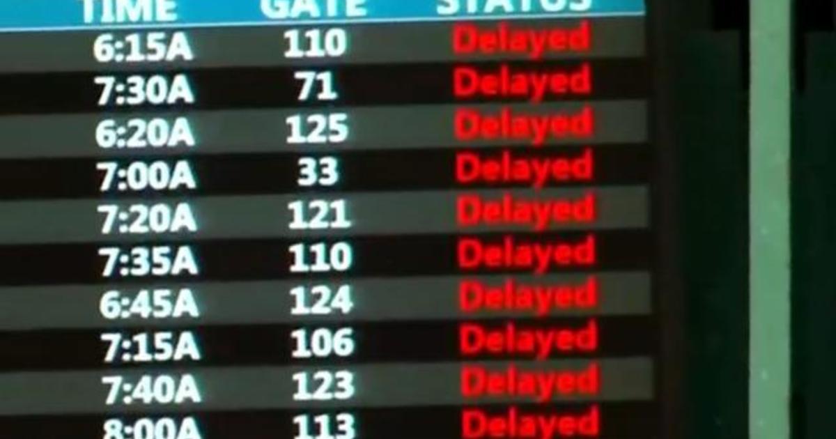 FAA investigating computer glitch which grounded thousands of flights