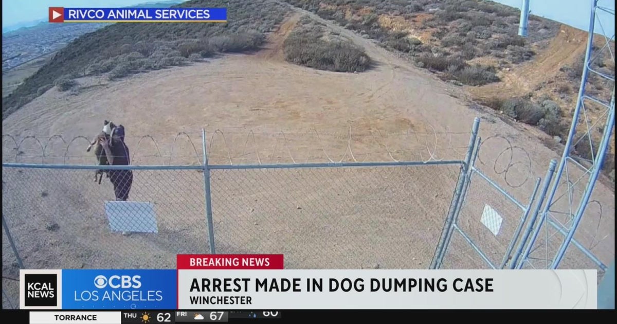 Riverside police arrest owner who threw his dog over barbed wire fence ...