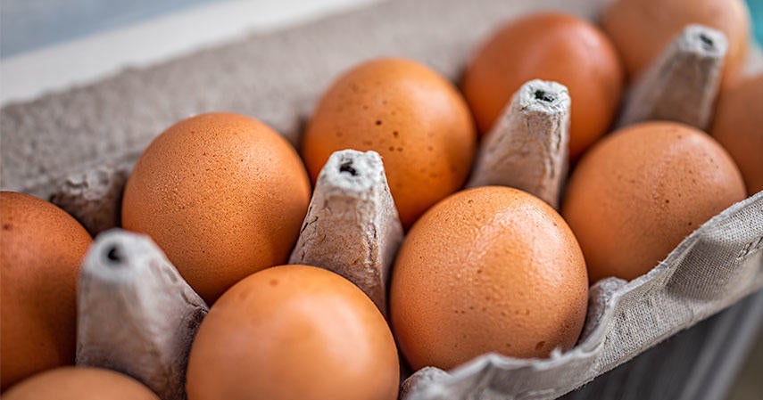 Egg prices are crashing here's why CBS Boston