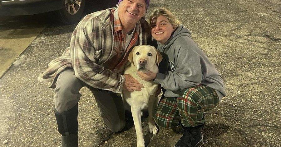 Service dog who went missing after truck theft in St. Paul found safe ...