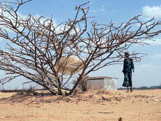 Victims of climate change: This year, 135 people may die every day due to  drought in Somalia