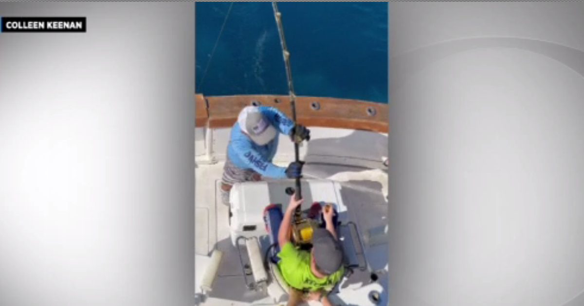 To catch a predator: Boy, 12, reels in wonderful white shark off Fort Lauderdale coast