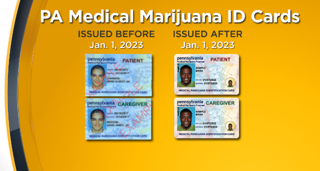 marijuana type of identification