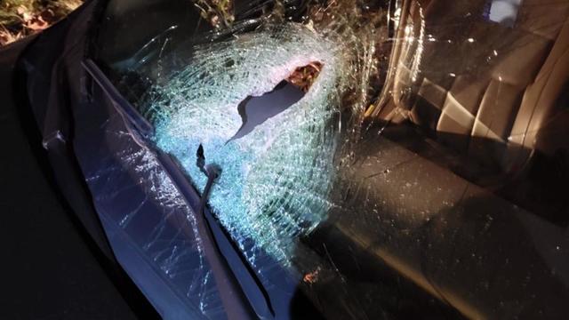 A photo of a hole in a partially shattered windshield. 