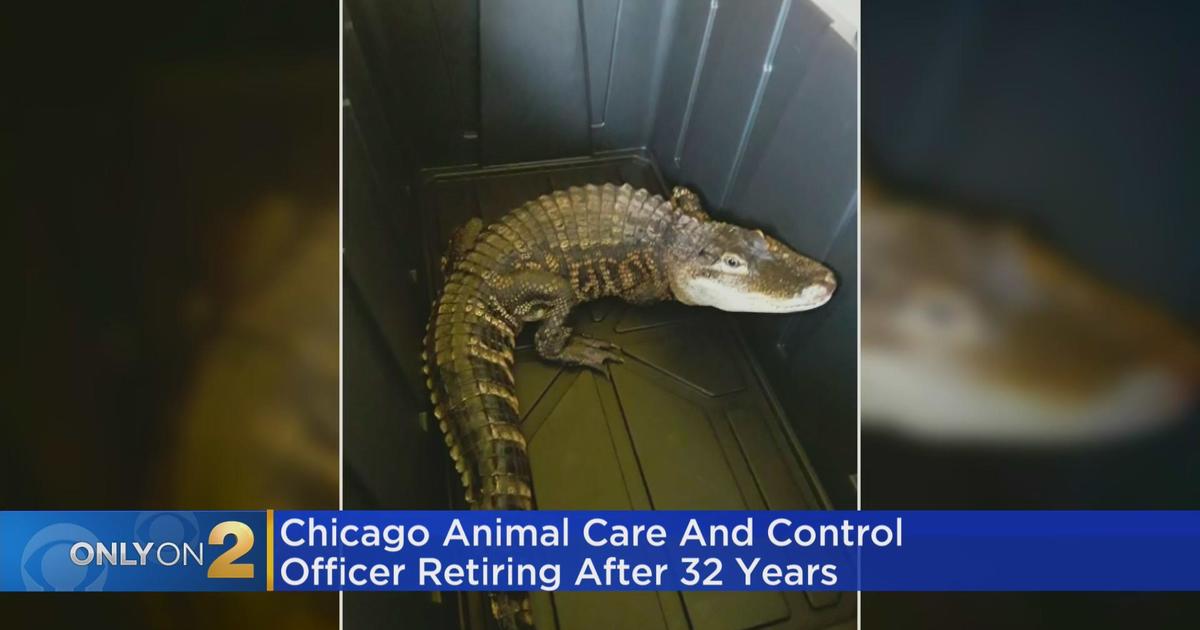 Chicago Animal Care and Control officer retires