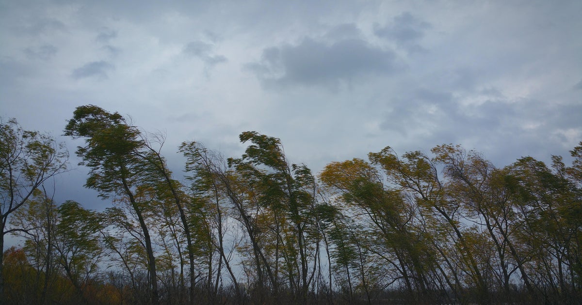 Wind Advisory in effect into Monday for Central Valley