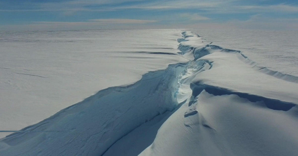 Góra lodowa o powierzchni 600 mil kwadratowych, mniej więcej wielkości dwóch miast Nowego Jorku, przebija się przez szelf lodowy Antarktydy