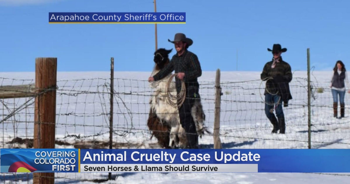 Arapahoe County sheriff identifies suspect in animal cruelty case CBS