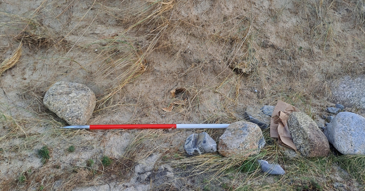 Skull found on U.K. beach may be from centuries-old shipwreck victim