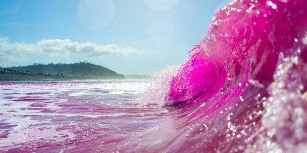 Pink waves at Torrey Pines State Beach 