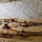 Archaeologists find the oldest non-royal mummy ever discovered in Egypt