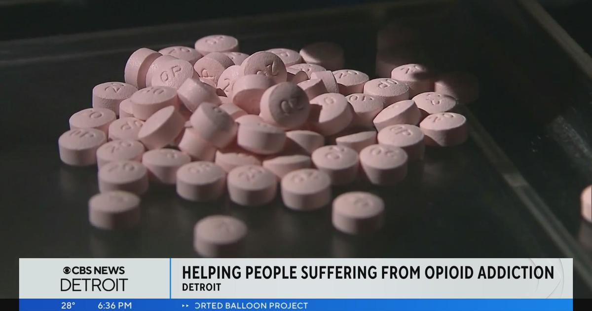 Michigan expands program to help battle opioid epidemic