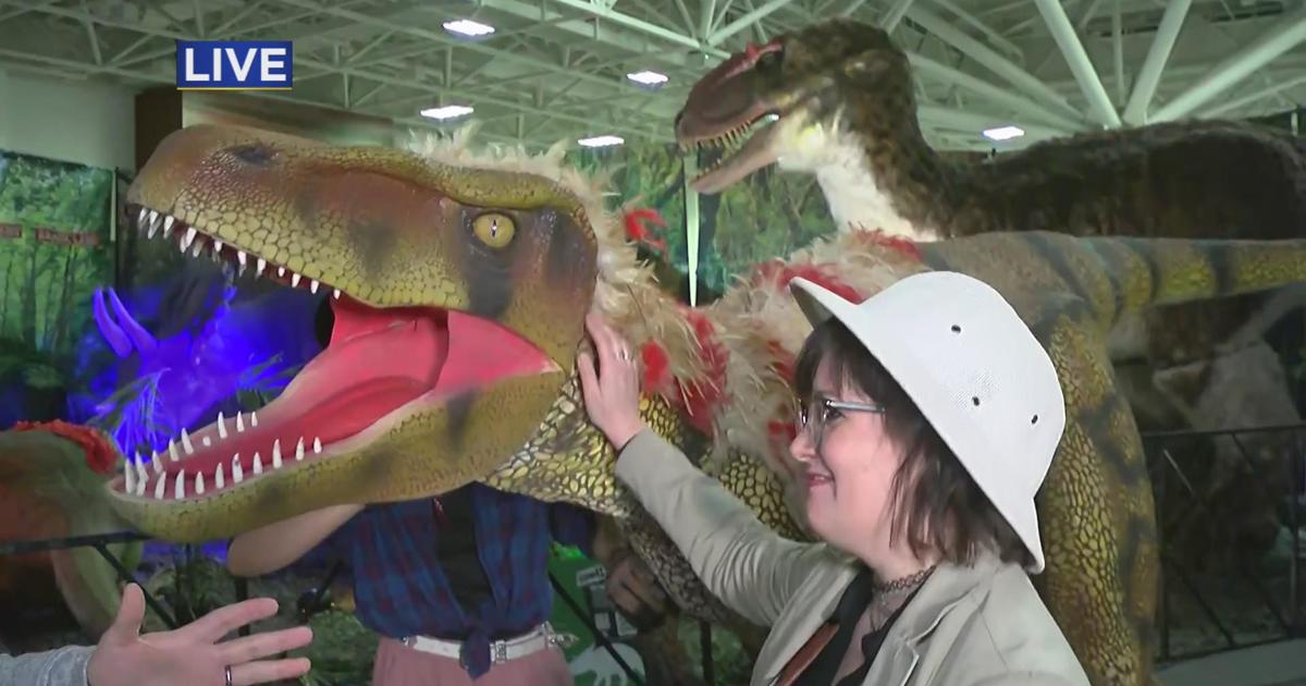 Enjoy the adventures of the prehistoric at Jurassic Quest CBS Minnesota