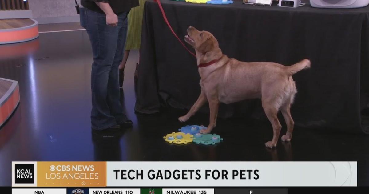 Tech Talk: Cool gadgets for family pets