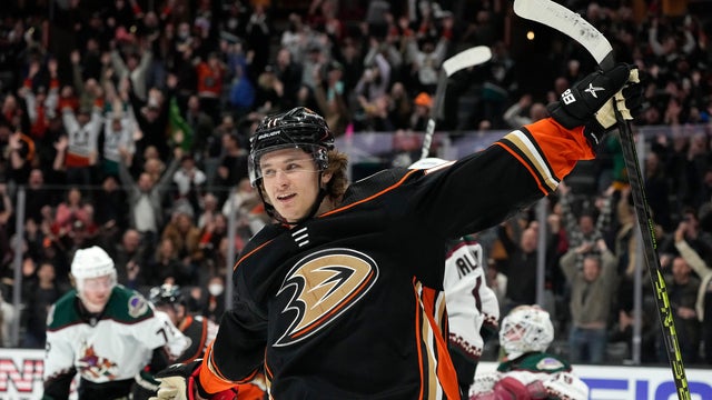 Coyotes Ducks Hockey 