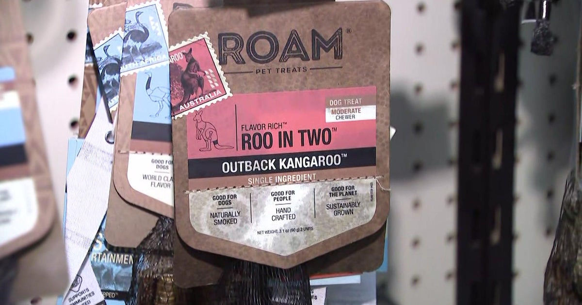 Connecticut Assemblyman David Michel seeks ban on products made from kangaroos - Vimarsana News