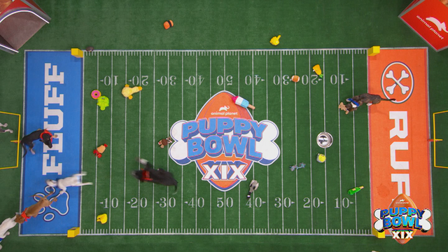 09vo-puppy-bowl-1-frame-1520.png 