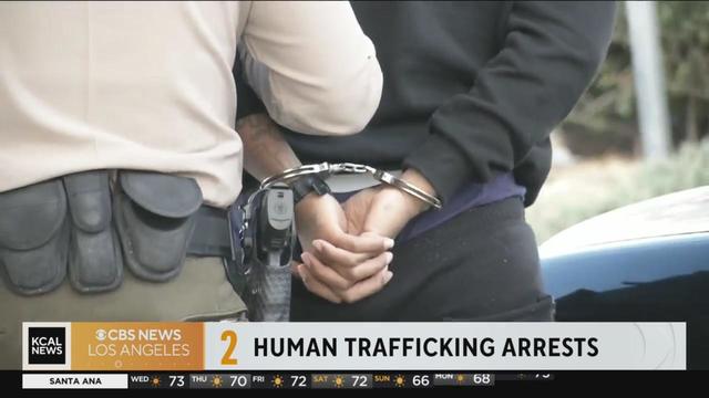 human-trafficking-arrests.jpg 