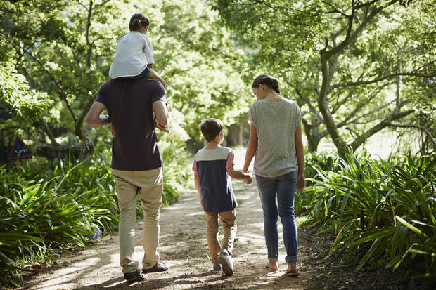 Rear view of a family walking in the park 