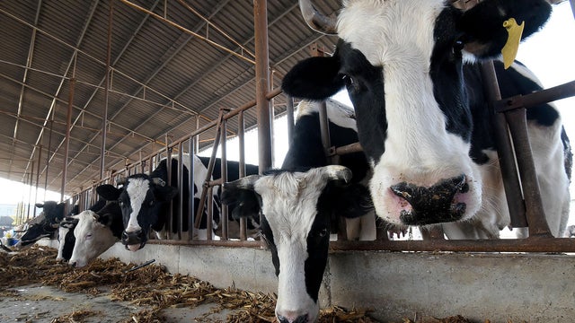 China Characteristic Aquaculture Industry 